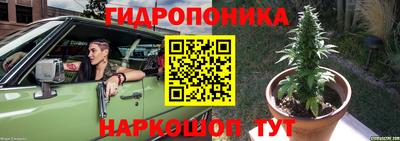 Альфа ПВП Жуковский