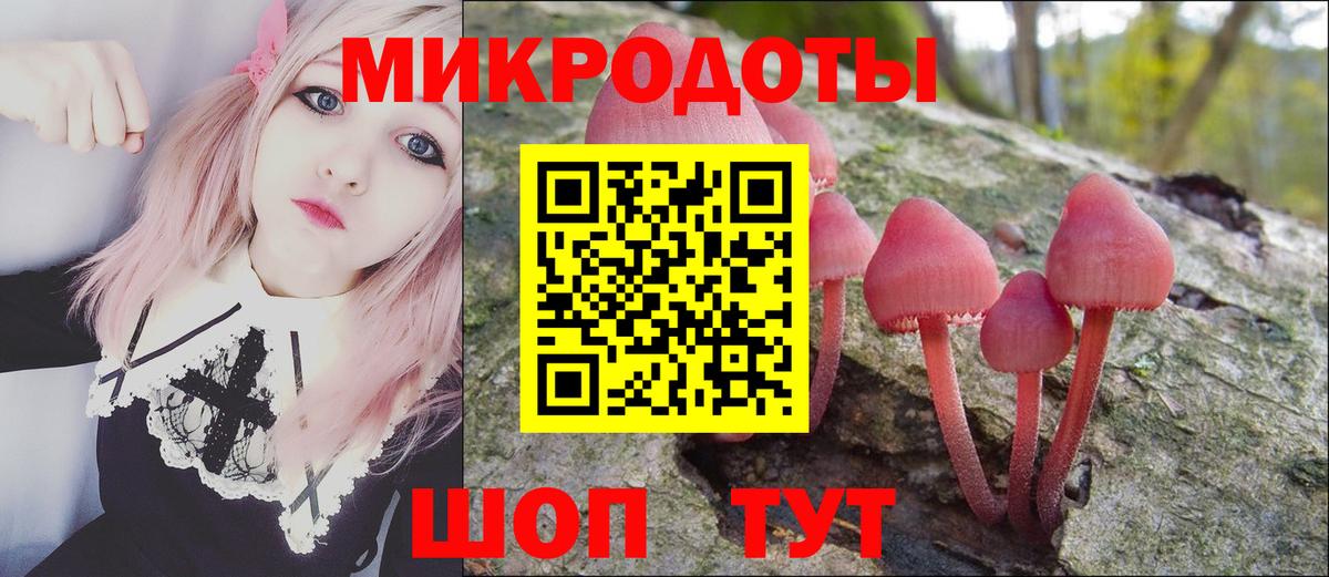 Карабулак  Псилоцибиновые грибы Psilocybe  Вход с VPN 